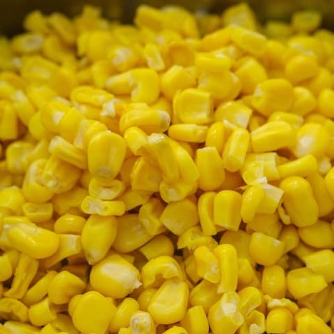 Maíz en grano